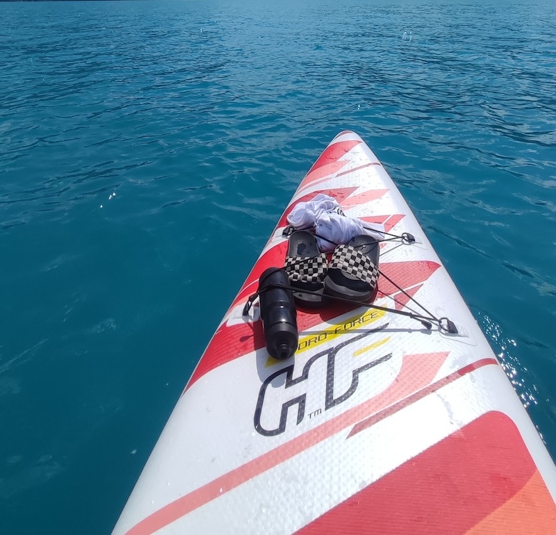 Paddleboarding na Labi u přívozu Oseček – klidná hladina řeky obklopená lužními lesy